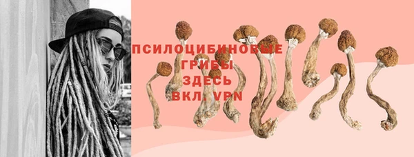 тгк Балахна