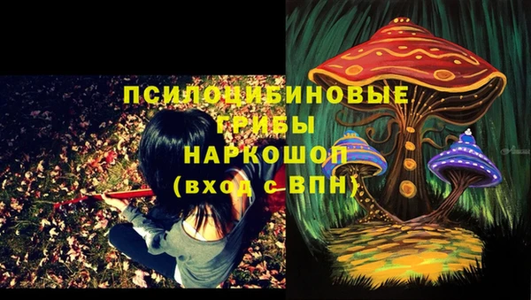 тгк Балахна