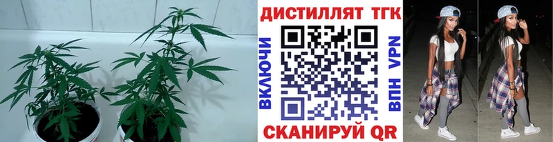 Дистиллят ТГК жижа  купить  цена  Омутнинск 