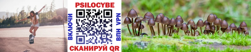 Галлюциногенные грибы MAGIC MUSHROOMS  Омутнинск 